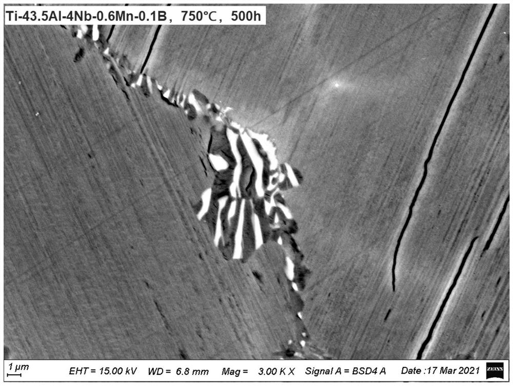 A kind of tial alloy capable of inhibiting the formation of ordered ω phase and its preparation method