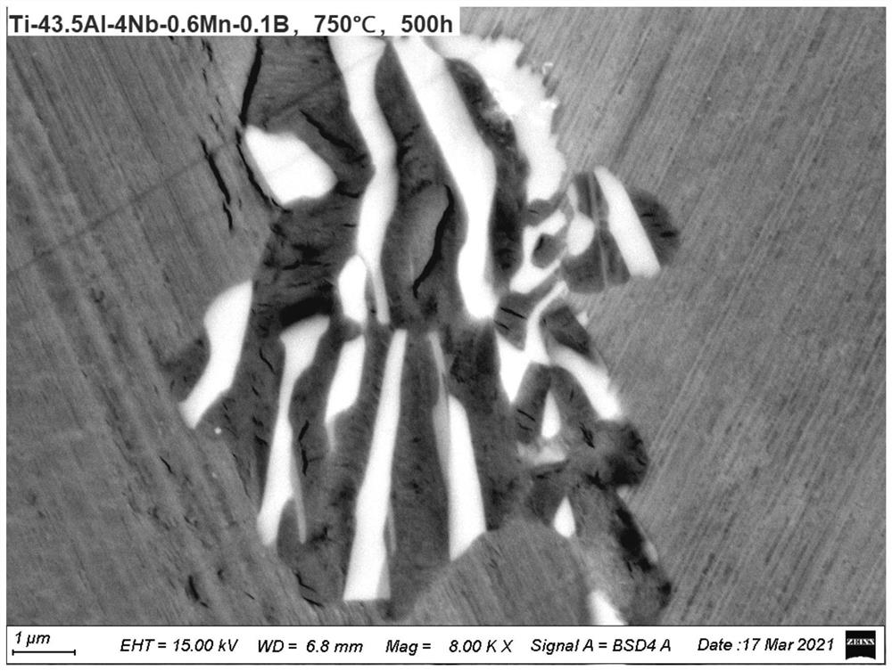 A kind of tial alloy capable of inhibiting the formation of ordered ω phase and its preparation method