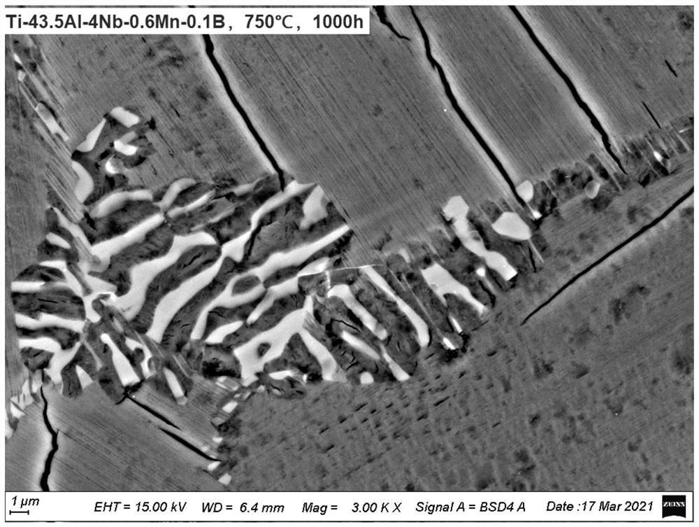 A kind of tial alloy capable of inhibiting the formation of ordered ω phase and its preparation method