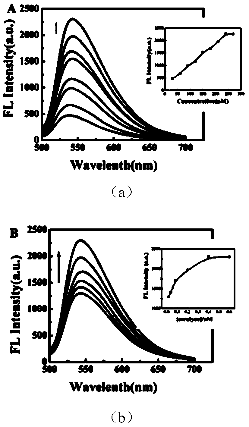 Fluorescence sensor, as well as preparation method and application of sensor and method for detecting Heparin molecule