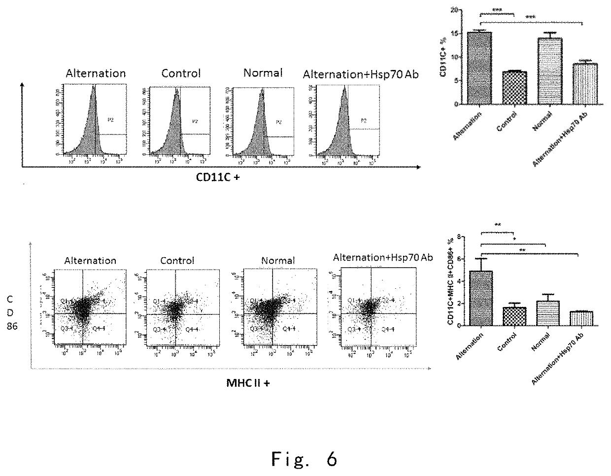 Tumour immunogen, preparation method therefor, and application