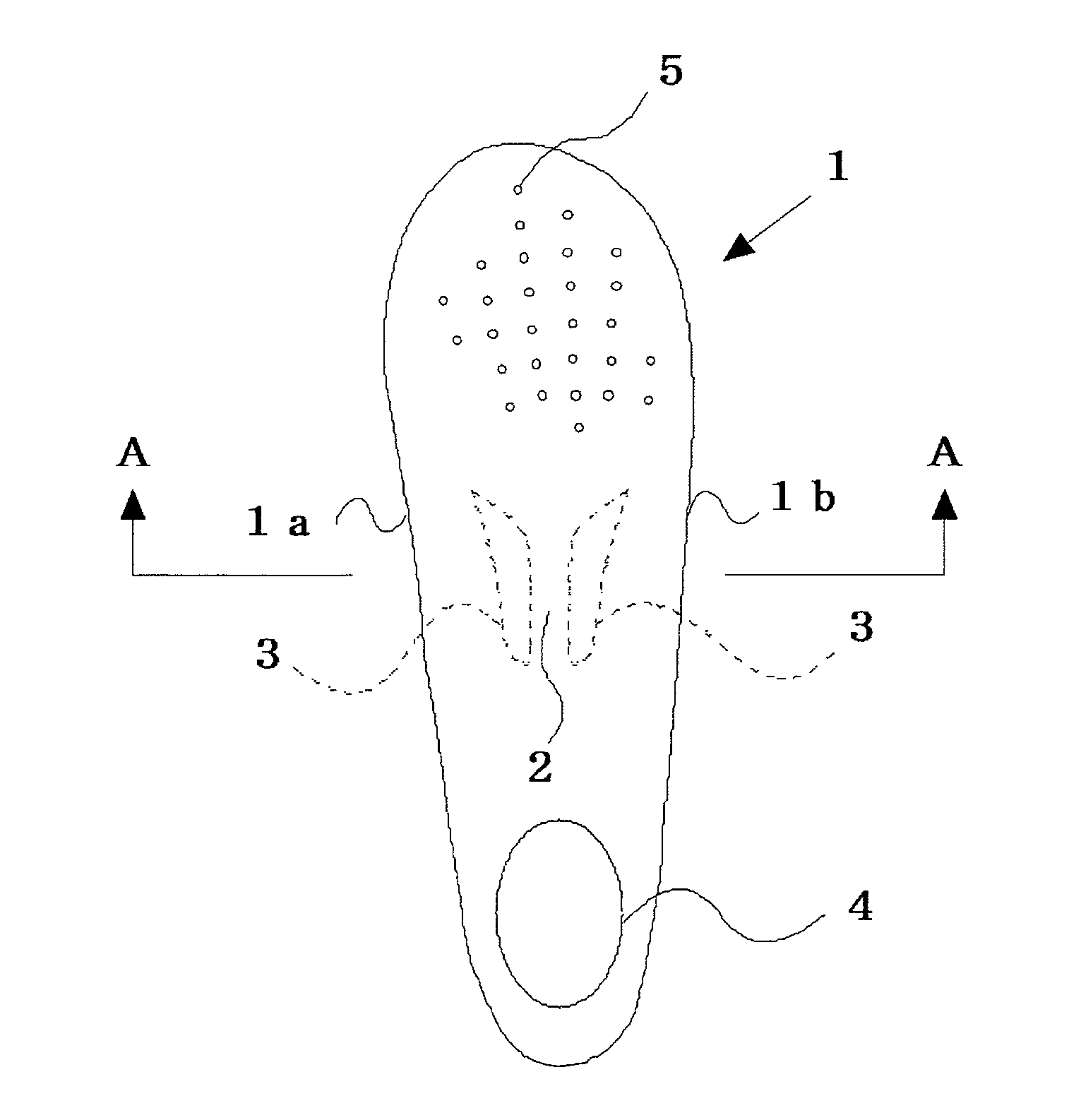 Insole for footwear