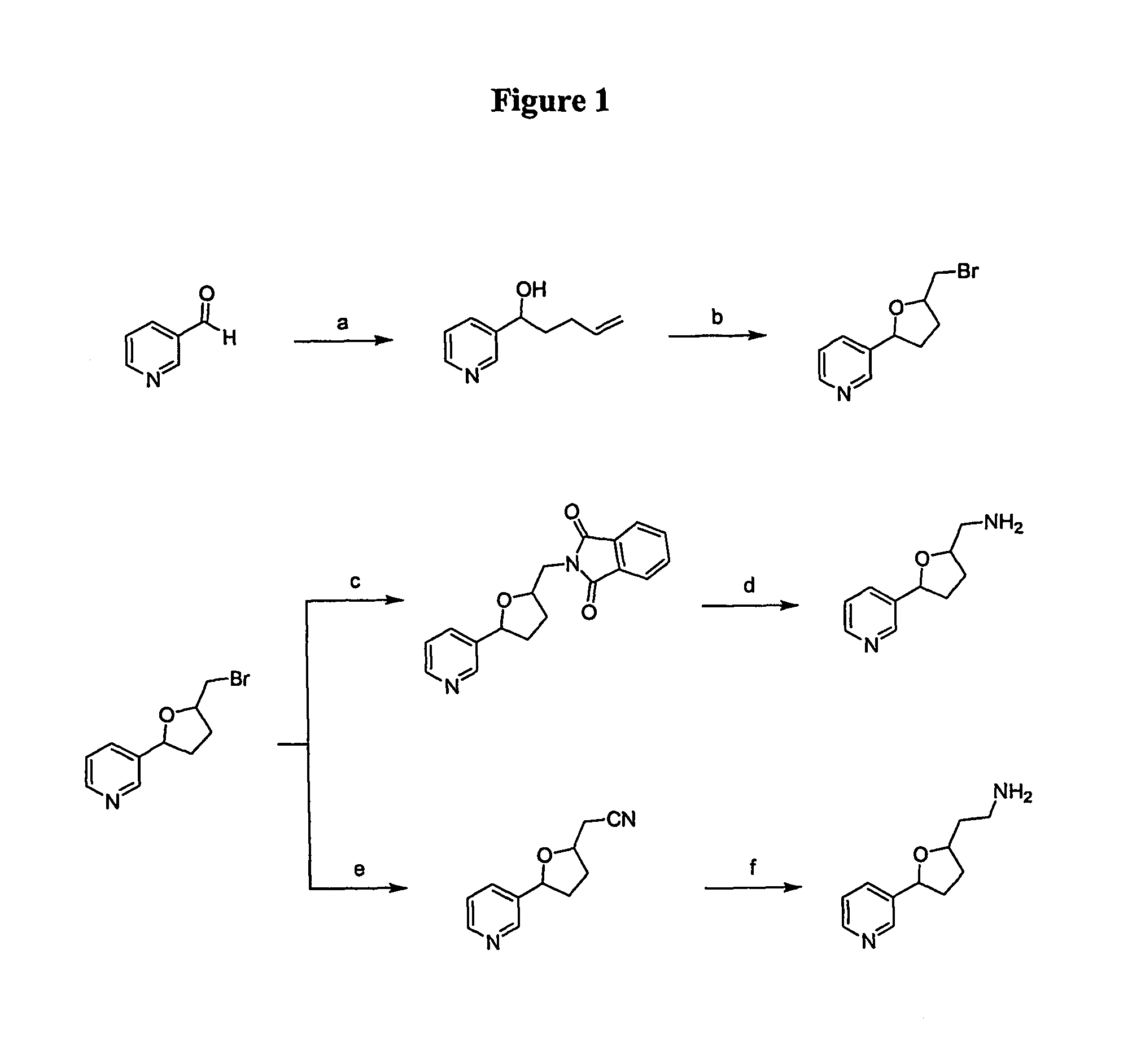 Synthetic Compounds and Derivatives as Modulators of Smoking or Nicotine Ingestion and Lung Cancer