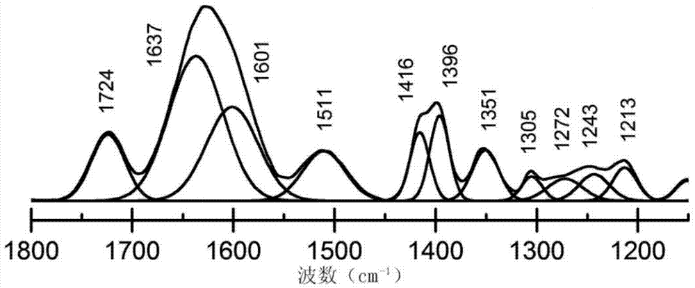 Amino acid adsorption mechanism research method based on infrared spectroscopy and DFT calculation