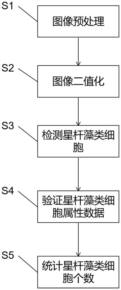 Microscope image-based astronomical algal cell statistical method