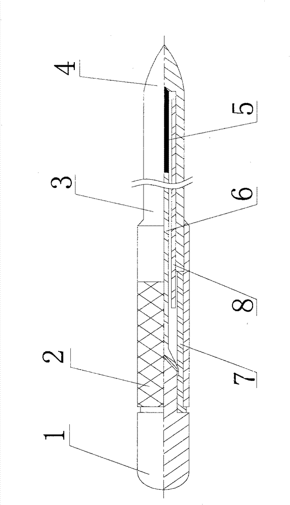 Internal heating type acupuncture therapeutic apparatus
