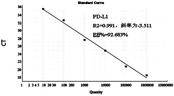 Construction of pd-l1 recombinant plasmid in chicken peripheral blood mononuclear lymphocytes, real-time detection method of gene abundance and its application