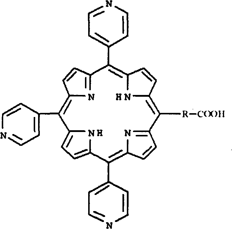 Kit used for detecting TPD52L1 protein, and preparation method thereof