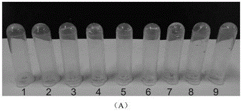 Release-controllable antibiotic hydrogel and preparation method and application thereof