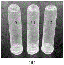 Release-controllable antibiotic hydrogel and preparation method and application thereof