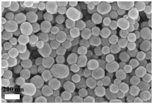Mesoporous silica drug-loaded nanoparticles coated with a ph-responsive Schiff base copolymer and its preparation method and application