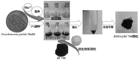 Biochar-manganese composite material coated with biochar as well as preparation method and application of biochar-manganese composite material