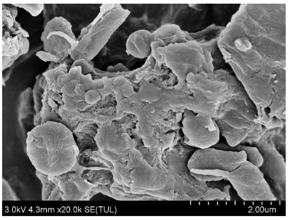 Biochar-manganese composite material coated with biochar as well as preparation method and application of biochar-manganese composite material