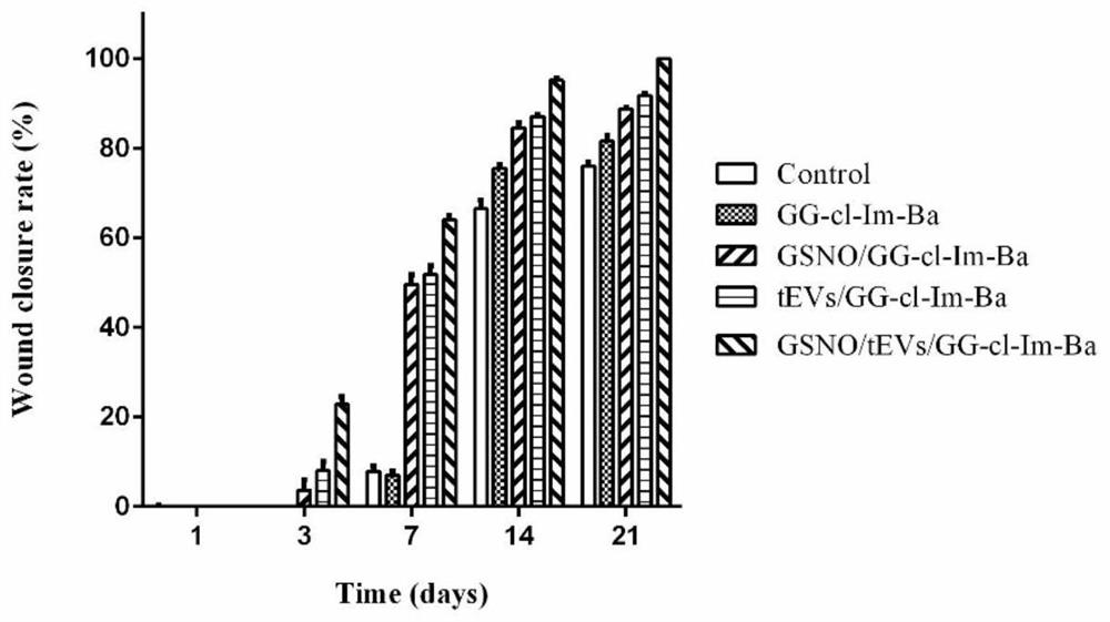 A composite gel system for promoting wound healing and its preparation method and application