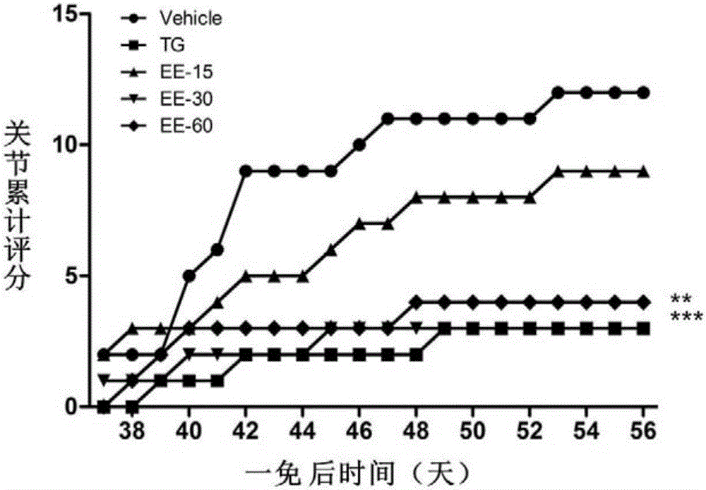 Application of eleutheroside e in preparation of medicine for treating rheumatoid arthritis