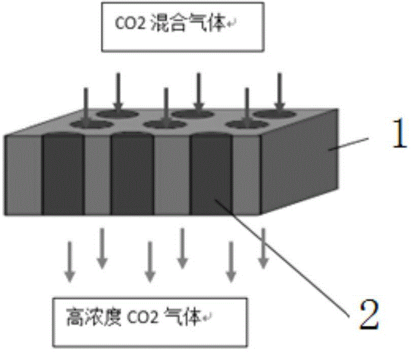 Liquid supported carbon dioxide separating membrane