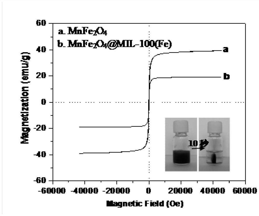 Preparation method and application of wide-spectrum specific antibody modified magnetic metal organic framework material