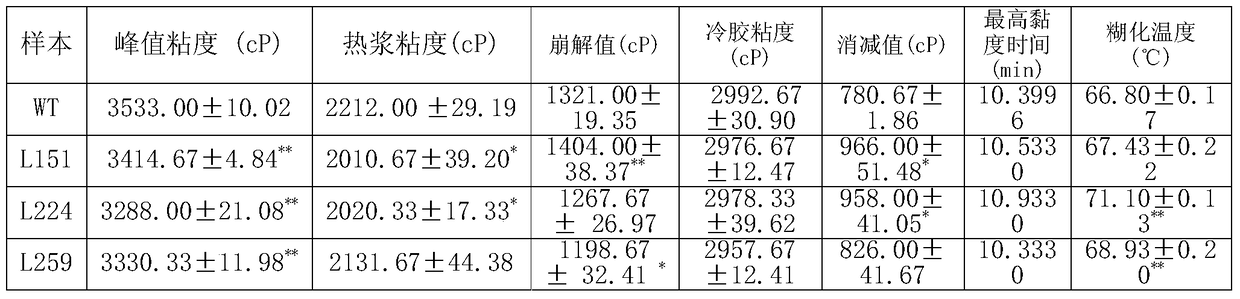 Plant starch synthesis related protein ibaatp and its coding gene and application