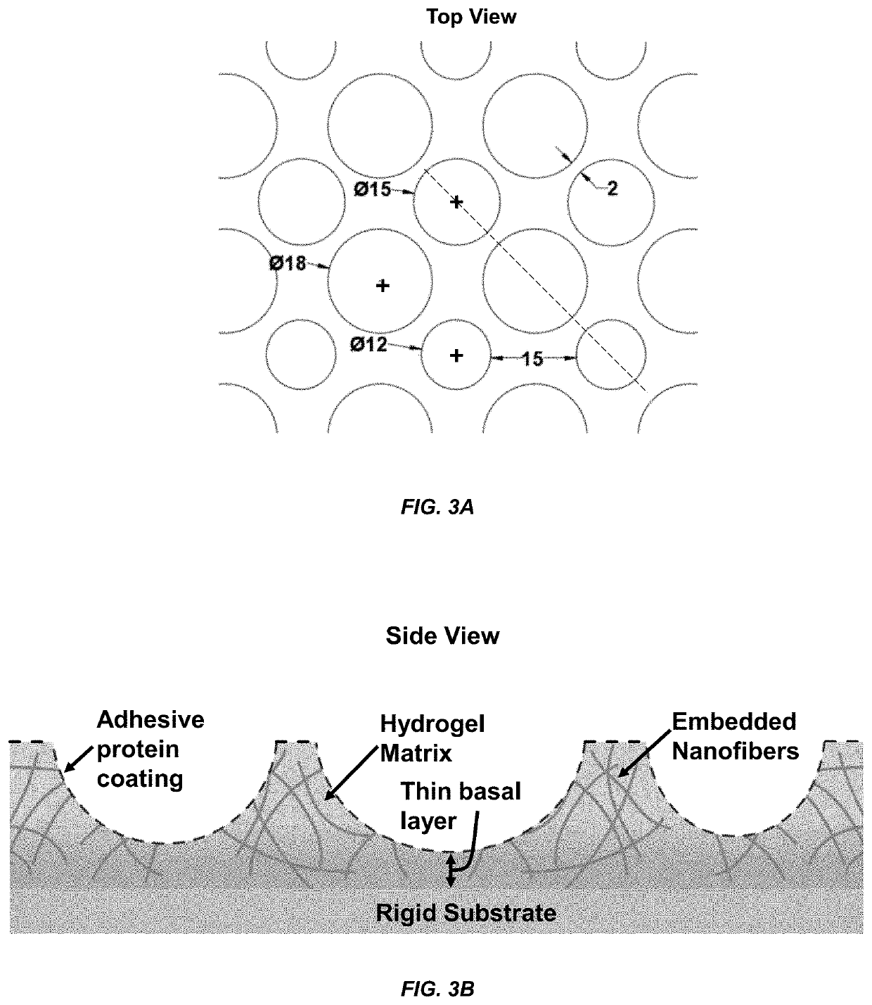 Micropatterned hydrogel for cell cultures