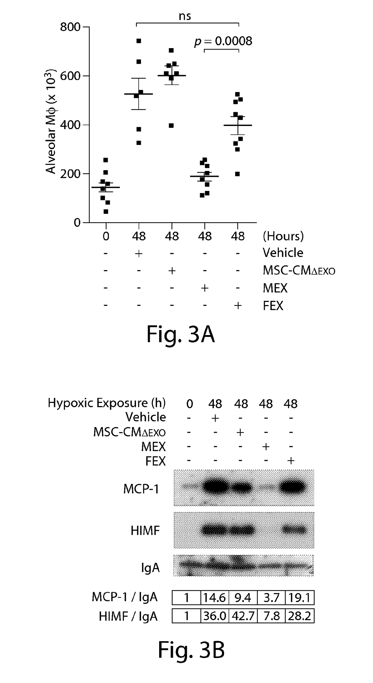 Methods and compositions relating to mesenchymal stem cell exosomes
