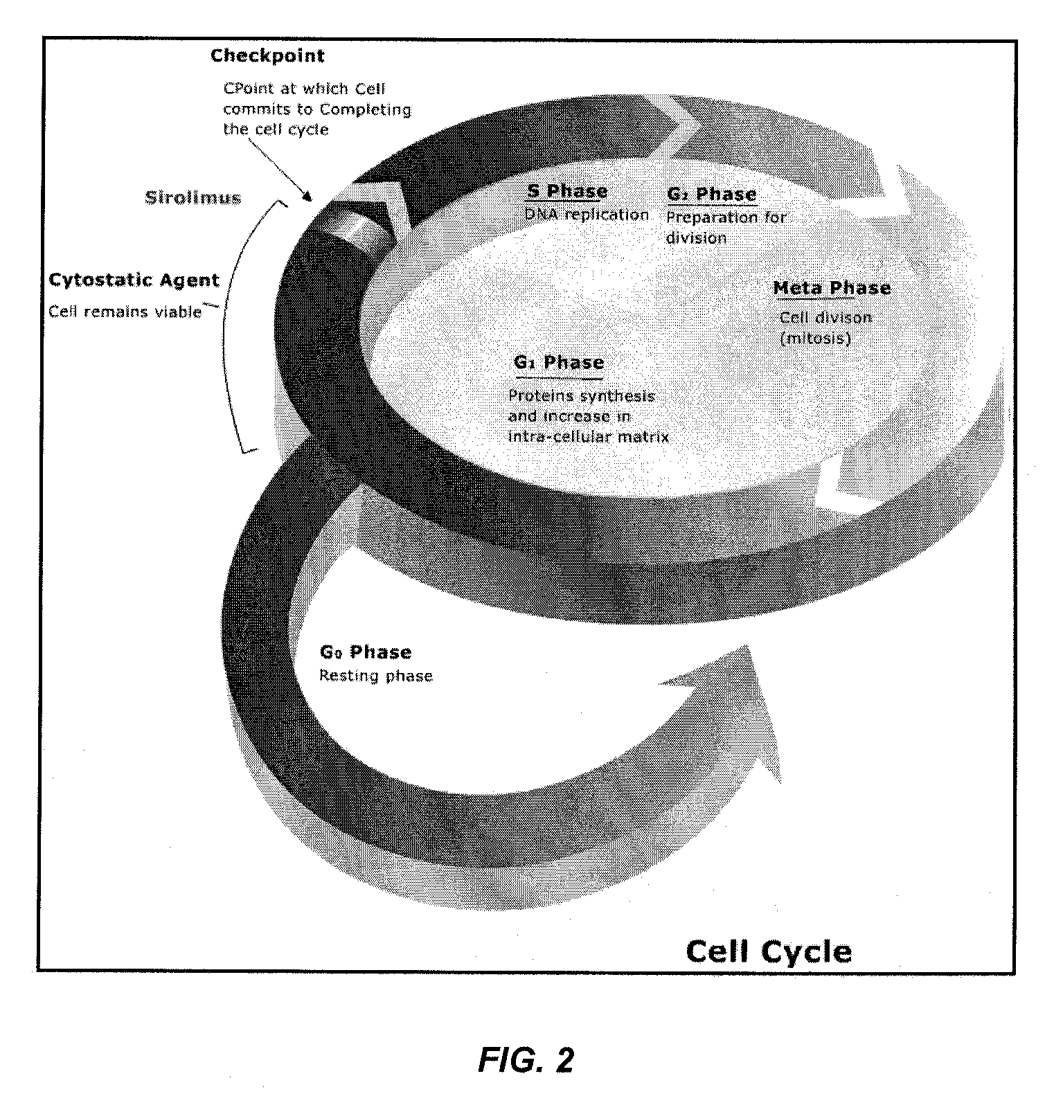 Compositions comprising porous articles and uses in implantable medical devices