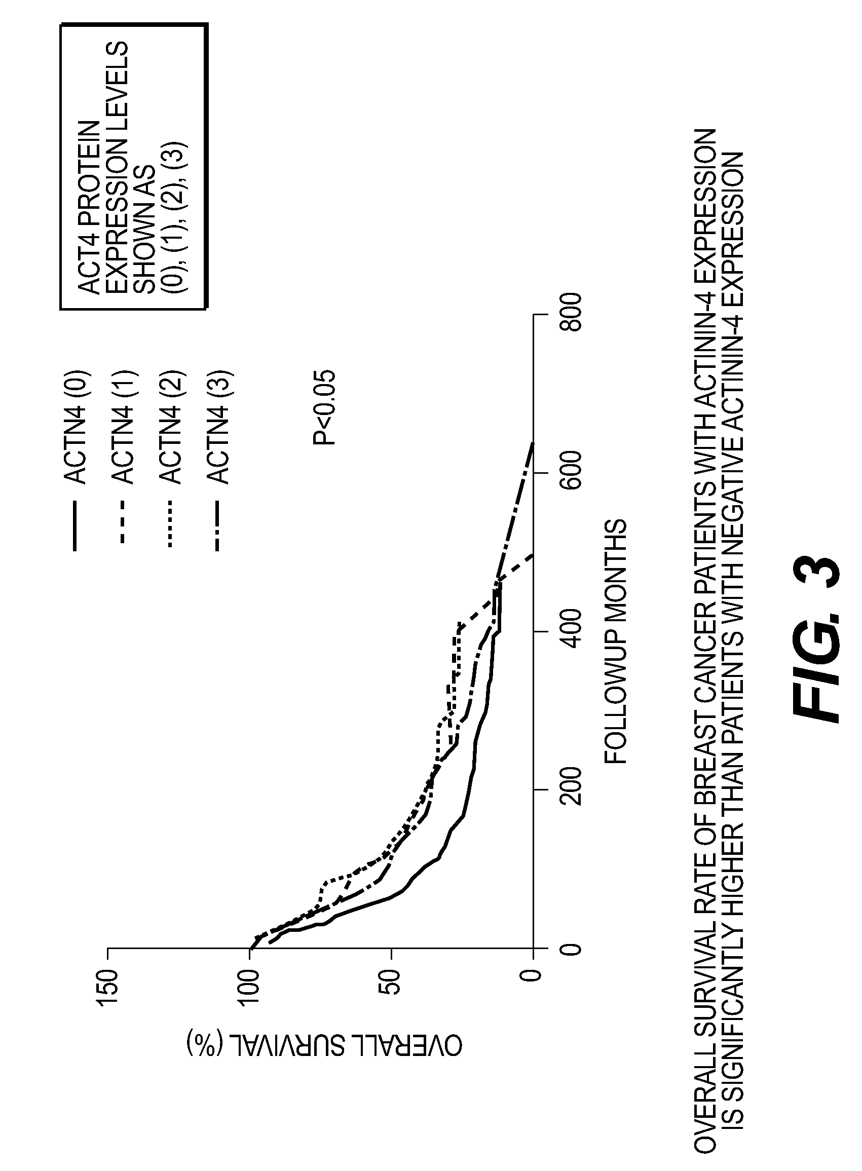 Monoclonal antibodies against alpha-actinin-4 antigens, and uses therefor