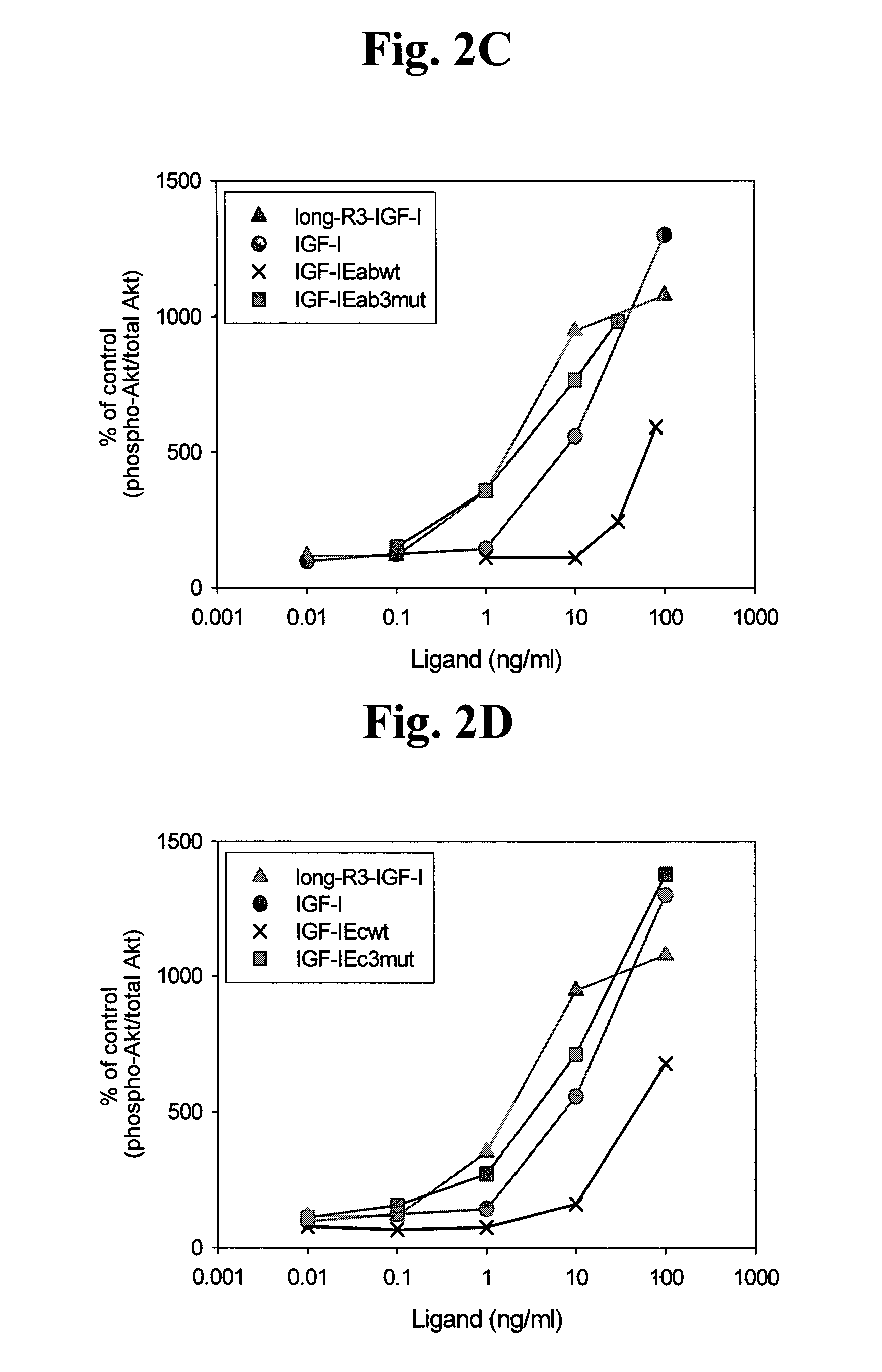 Stabilized insulin-like growth factor polypeptides