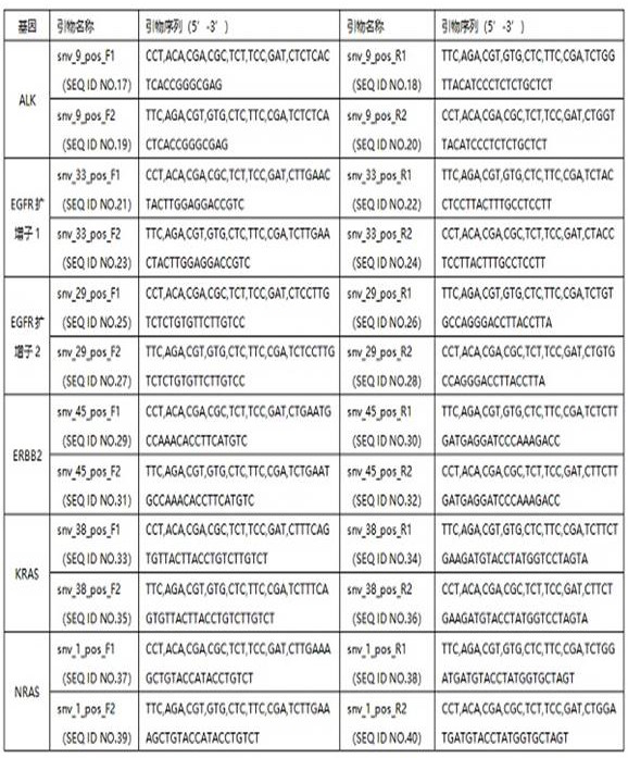 A primer set and method for constructing an amplicon library suitable for single-end sequencing