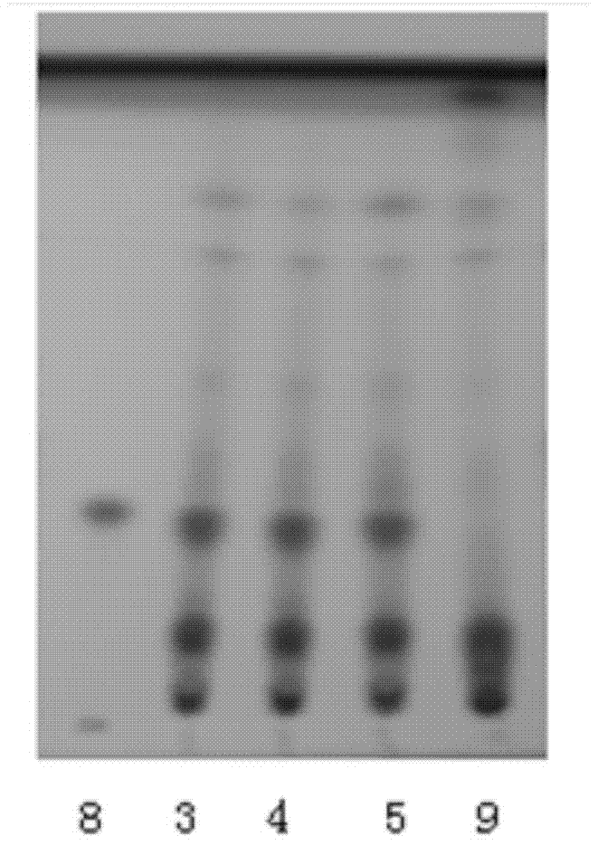 A detection method for Gastrodia Xingnao Capsules