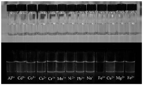 Fluorescent probe, preparation method thereof and application in the detection of iron ions