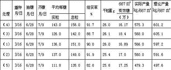 Drought resisting and water saving cultivation technique for performing direct sowing on dry paddy field by fully using natural precipitation