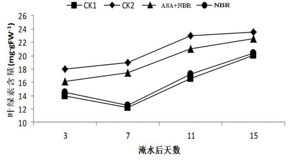 A biochemical agent for physiological recovery of maize after waterlogging