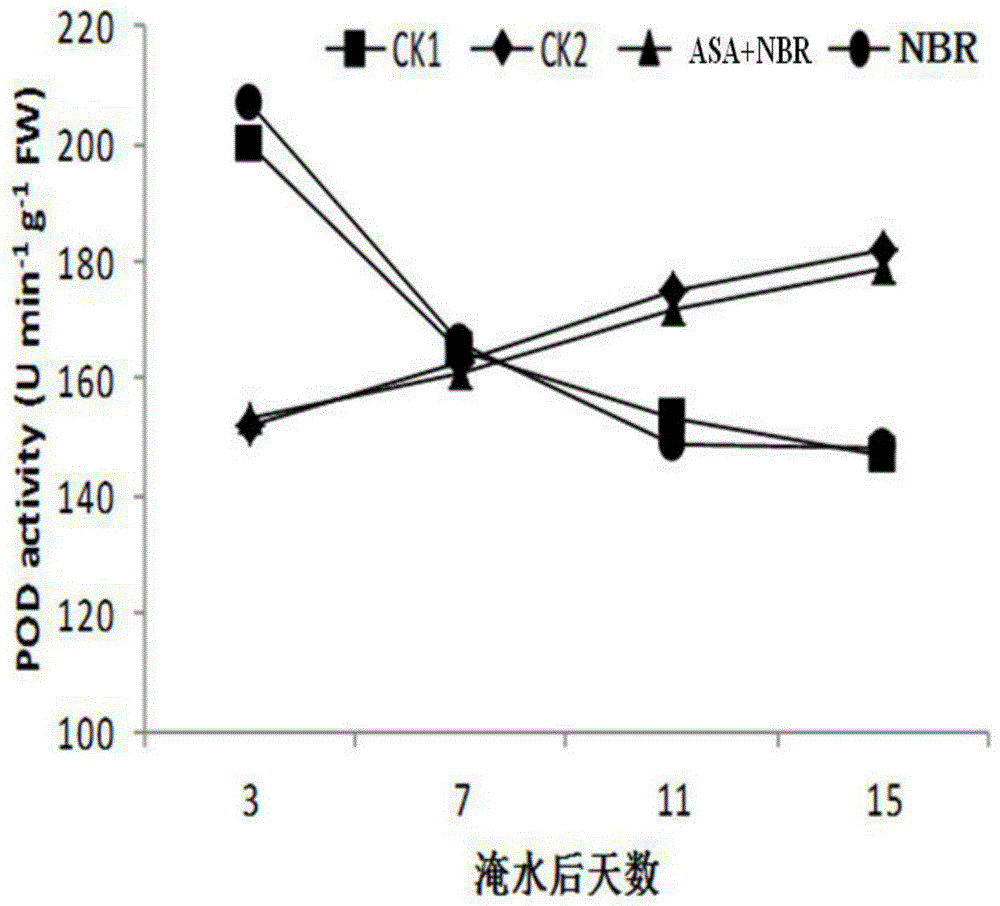 A biochemical agent for physiological recovery of maize after waterlogging