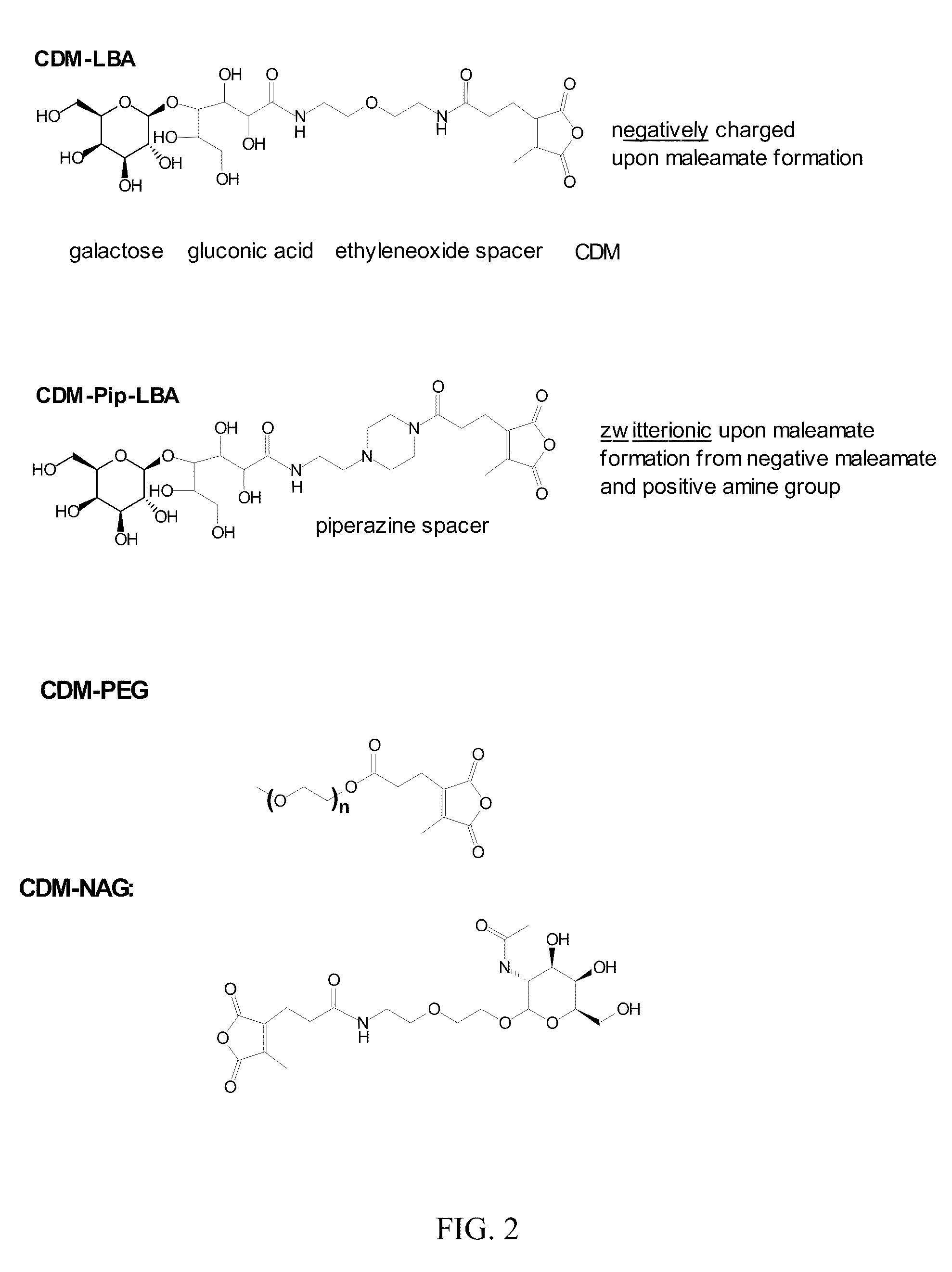 Endosomolytic poly(vinyl ether) polymers
