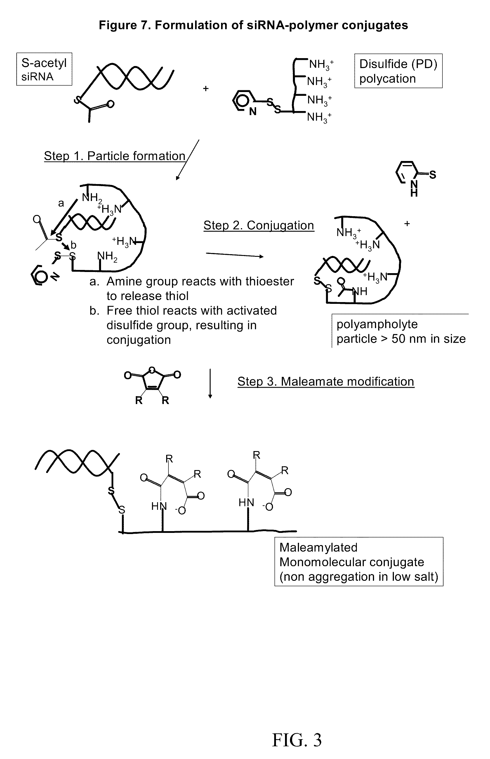 Endosomolytic poly(vinyl ether) polymers