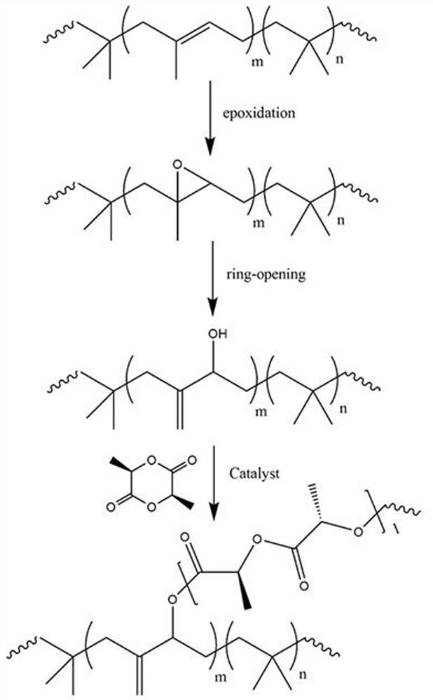 A kind of preparation method of butyl rubber/polylactic acid graft polymer