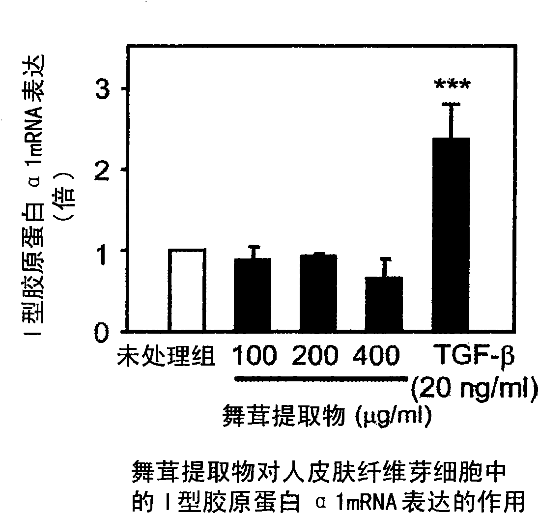 Grifola frondosa extract and composition containing the same for promoting the production of hyaluronic acid (hyaluronan)