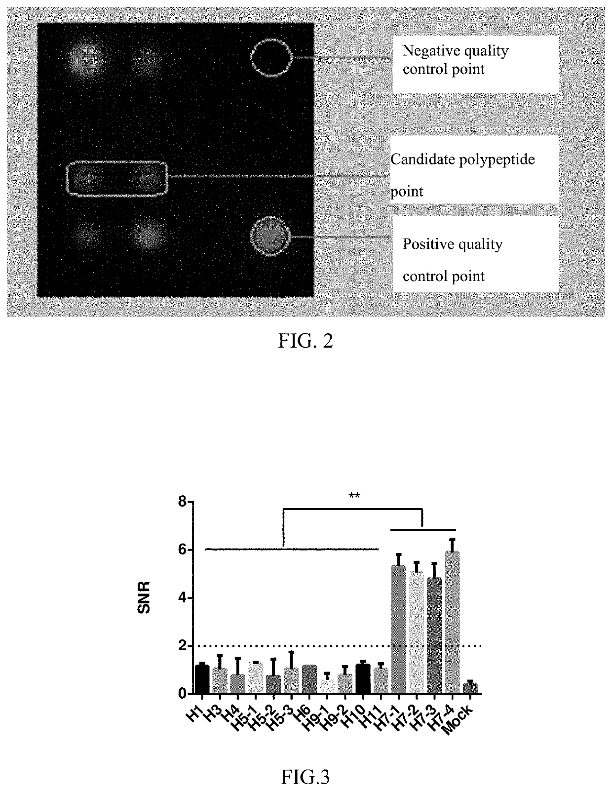 Recombinant h7n9 subtype avian influenza virus, inactivated marked vaccine and preparation method thereof
