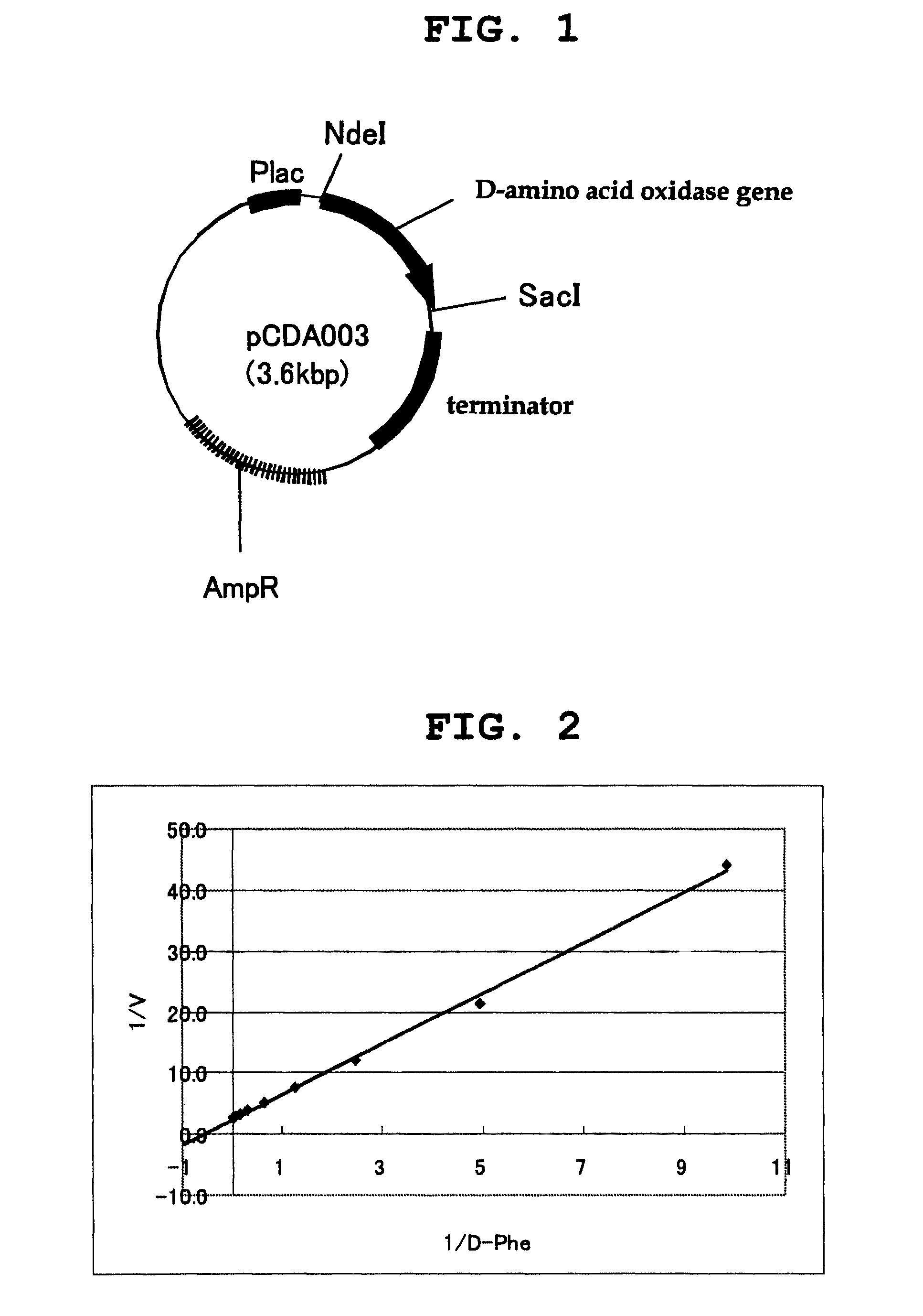 D-amino acid oxidase, and method for production of L-amino acid, 2-oxo acid, or cyclic imine