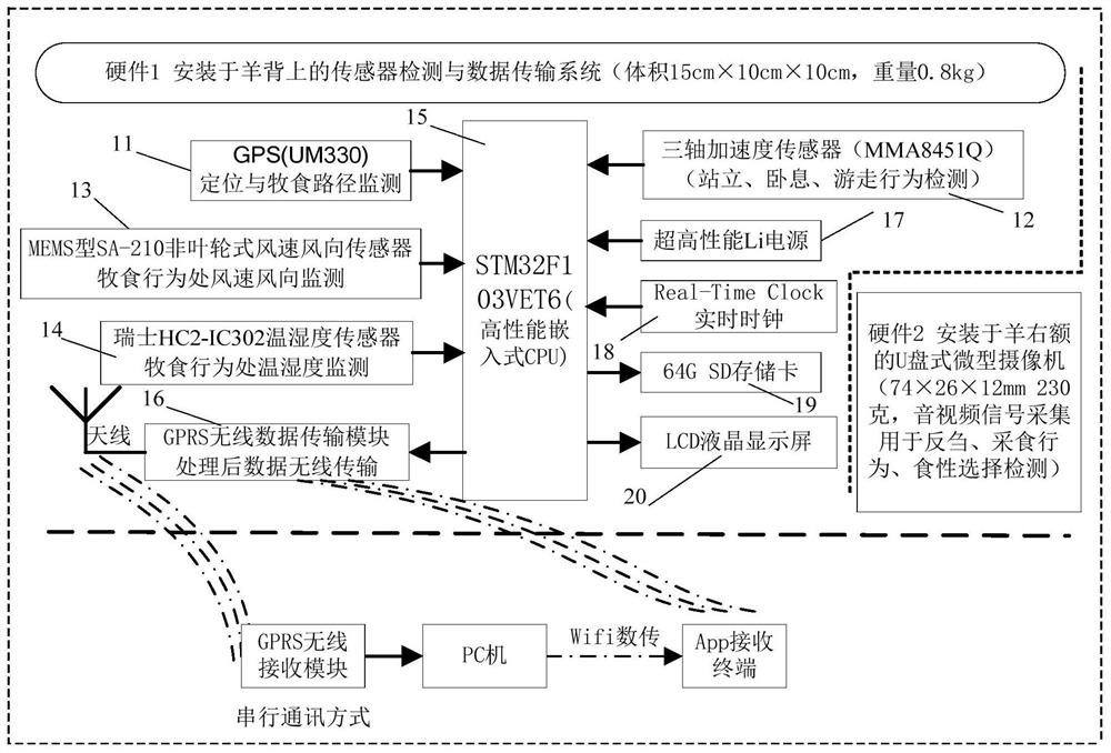 A kind of grassland grazing sheep grazing behavior detection system and detection method