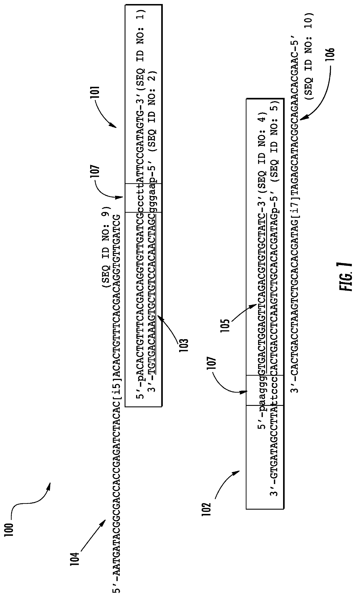 Compositions and methods for preparing sequencing libraries