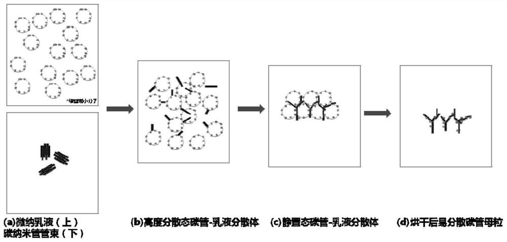 Multifunctional paste and preparation method thereof