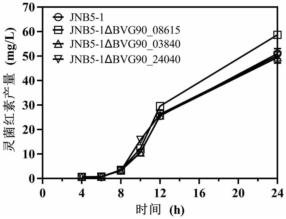 BVG90 _ 08615 gene deleted serratia marcescens engineering bacterium