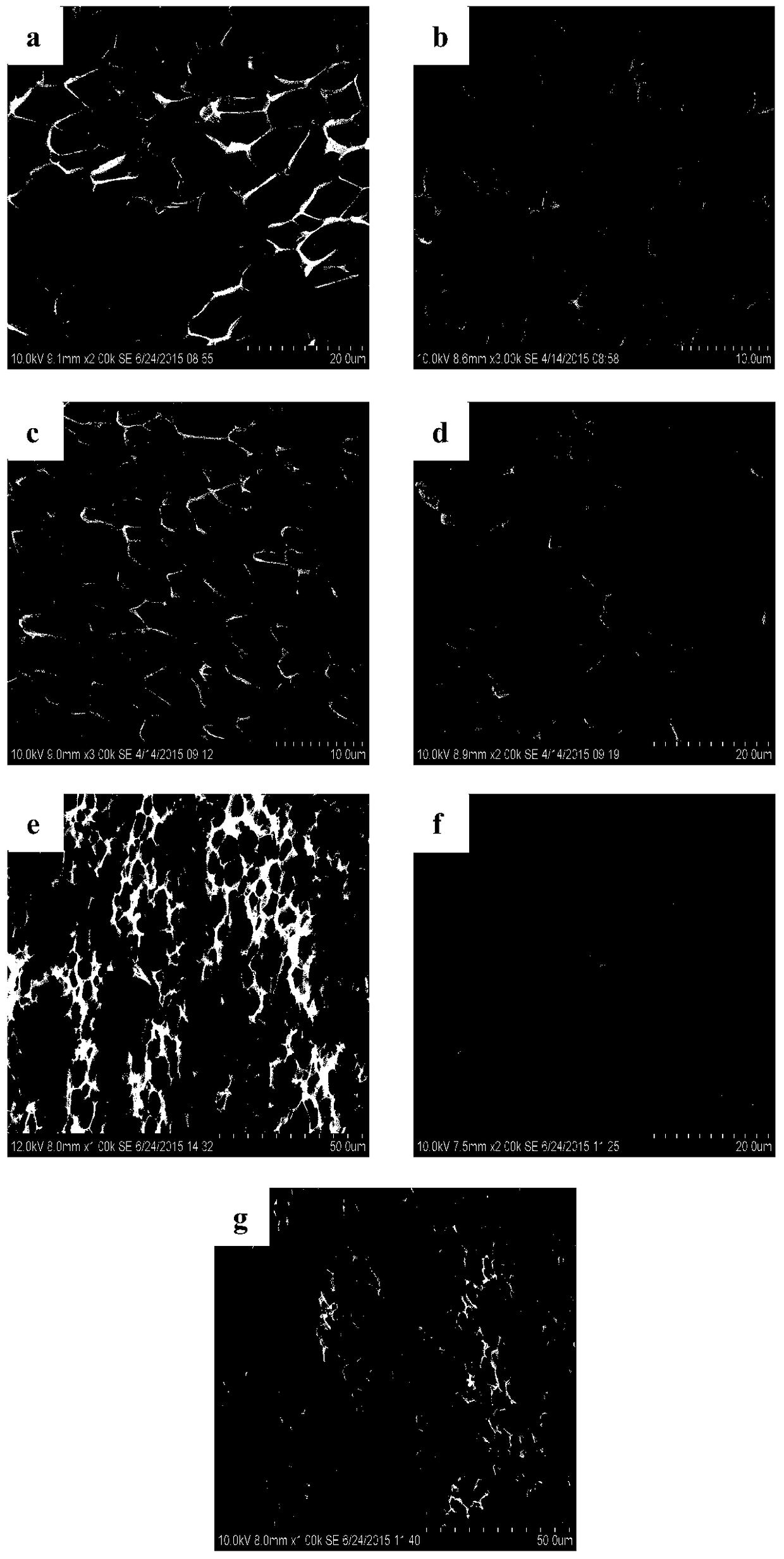 A kind of polybutylene succinate ionomer microporous foam material and preparation method thereof