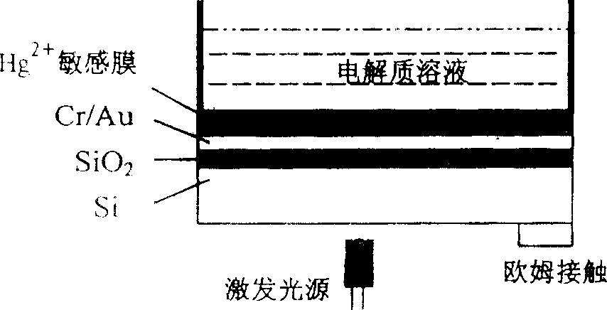 Film optical addressing electric potential sensor used for detecting Hg2+ and preparation method thereof