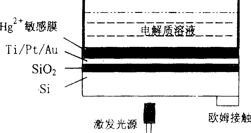 Film optical addressing electric potential sensor used for detecting Hg2+ and preparation method thereof