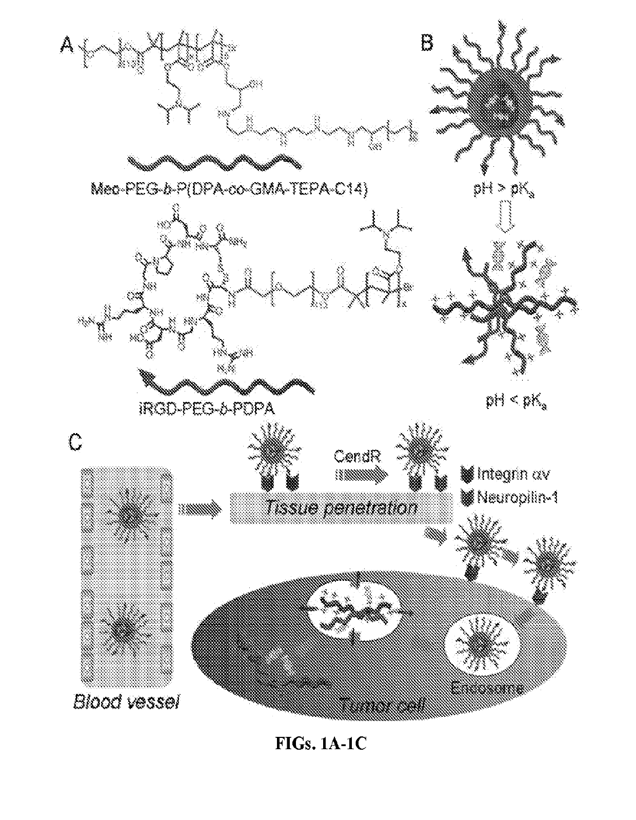 Stimuli-responsive nanoparticles for biomedical applications