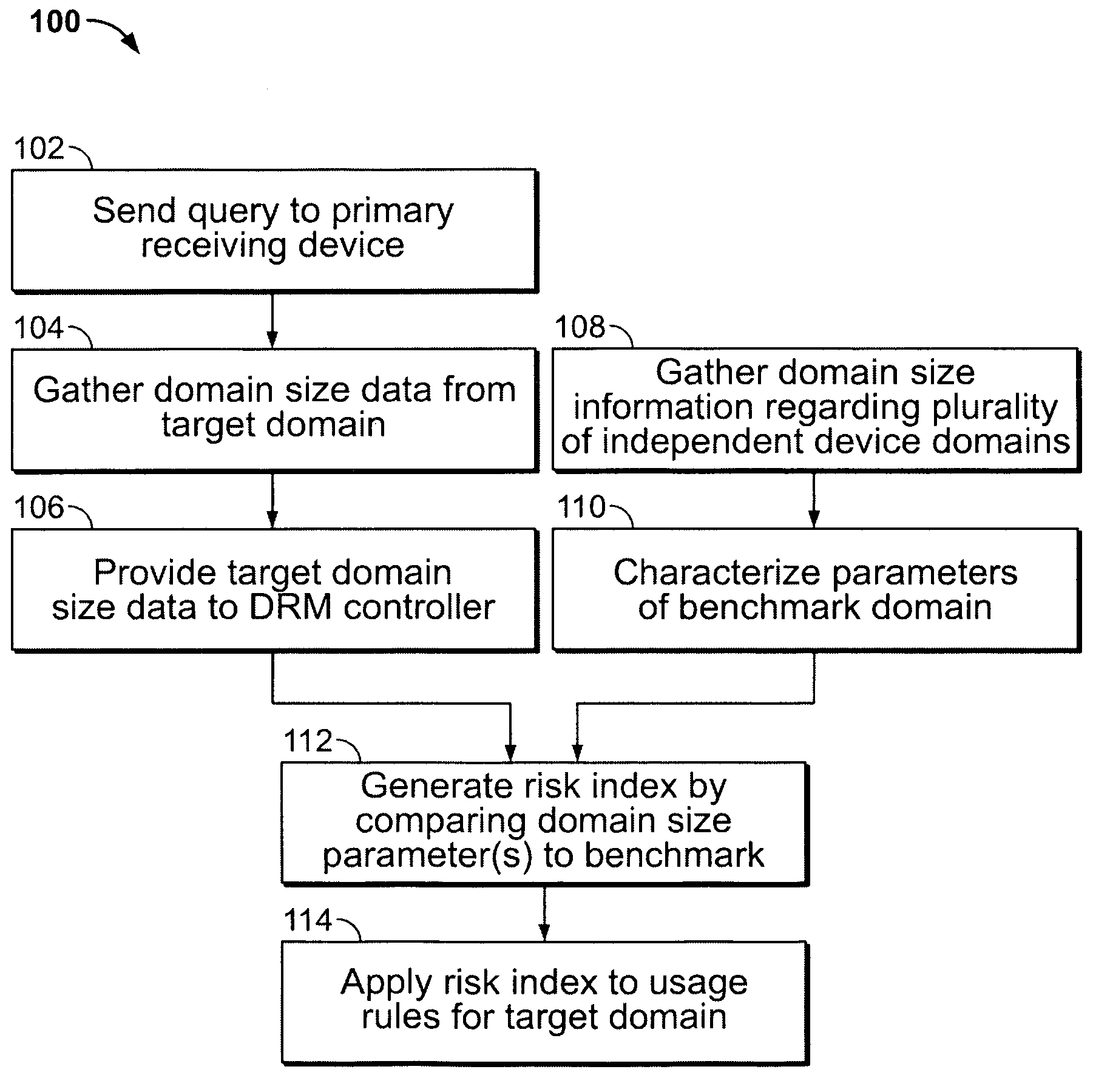 Adaptive digital rights management system for plural device domains