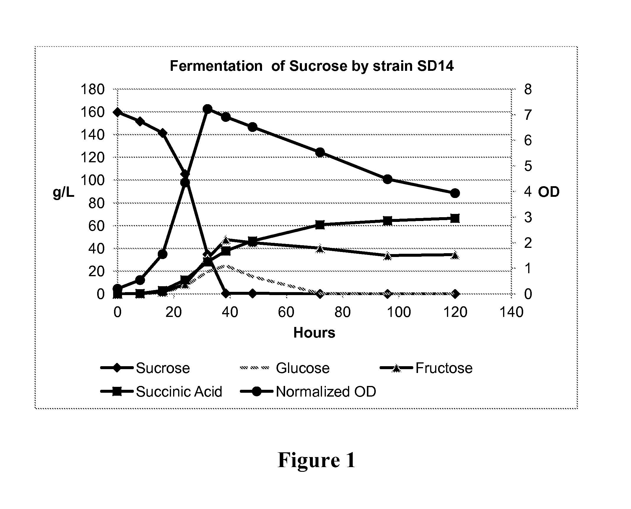 Method of producing succinic acid and other chemicals using sucrose-containing feedstock