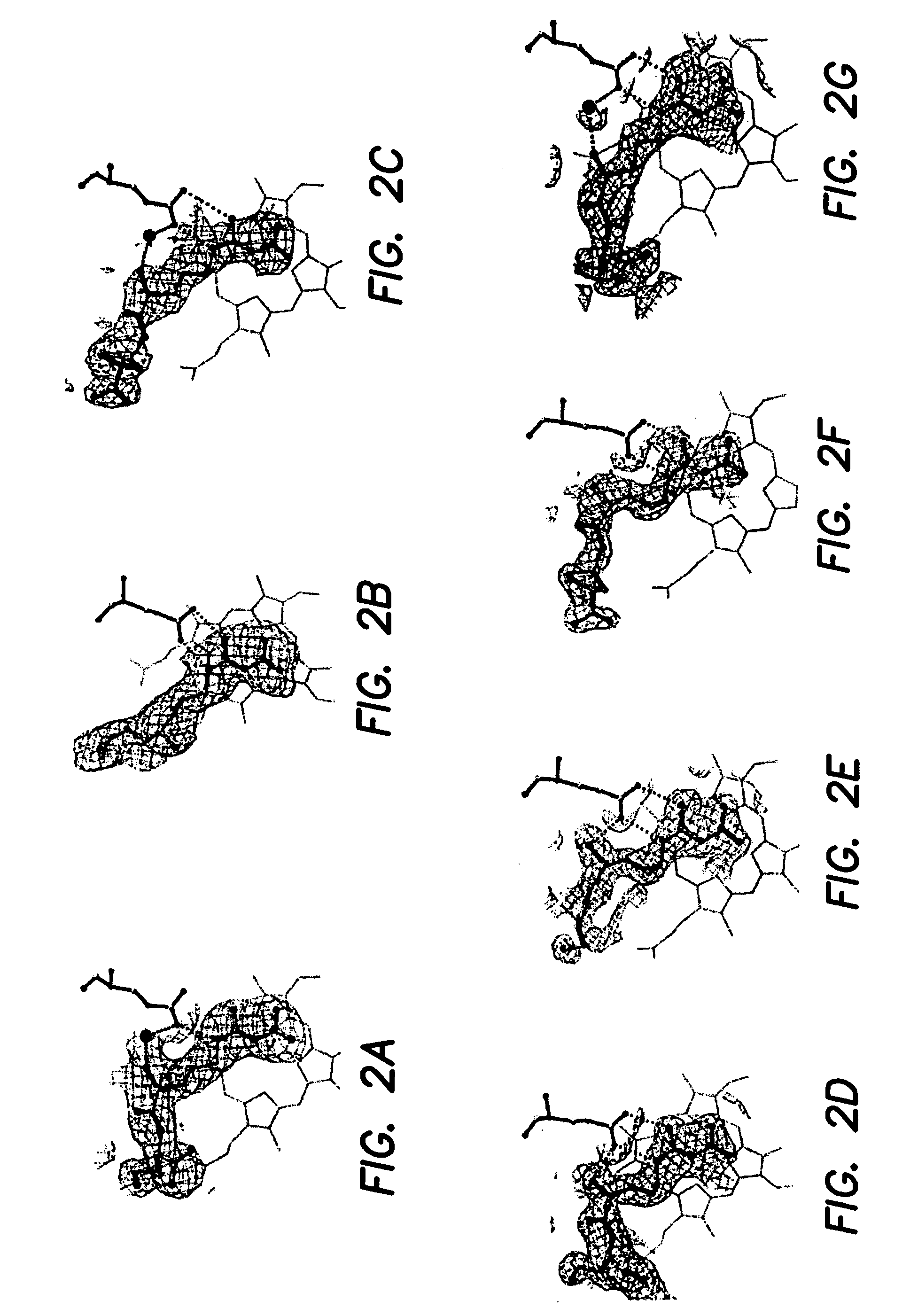 Selective inhibition of neuronal nitric oxide synthase